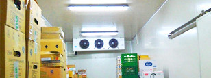 小型冷庫(kù)造價(jià),價(jià)格,冷庫(kù)常見(jiàn)問(wèn)題解答